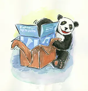 Goodwin: The One Panda Band