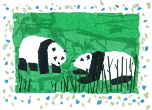 Spotty: Two Pandas with bamboo and green background