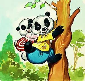 Pandas: Pandas climbing a tree