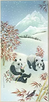 Samaraweera: Two Pandas in the snow with bamboo