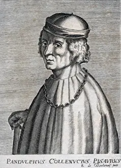 1444: Pandolfo Collenuccio