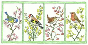 Gorse: four panel design with birds on branches