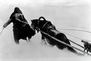 Withdrawal: Panje-Schlitten - sledge at the Eastern front, 1942