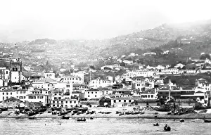 Funchal: Panorama of Funchal, Madeira