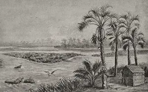 Hippo: Panorama of the Kassai landscape
