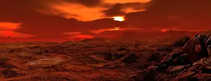 Exobiology: Panorama of a landscape on Venus