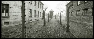 Morbid: Panoramic view security fences and prison building - Auschwi