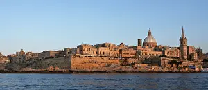 Scamp: Malta