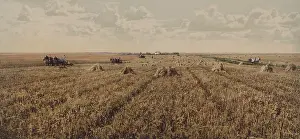 Midwest: Panoramic view of wheat fields in the American