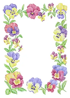 Heywood: Pansies ? border design