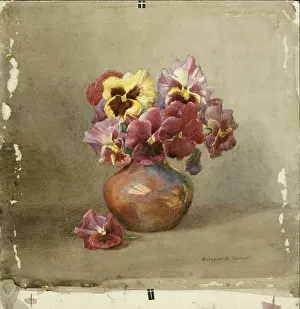 Pansy: Pansies in a copper vase