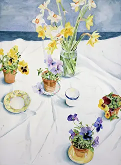Lindy: Pansies and Daffodils on white tablecloth