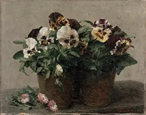 Fantin: Pansies and Daisies still life