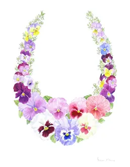 Pansies: Pansies with white heather in horseshoe shape