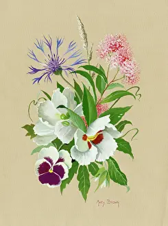 Pansy: Pansy, cornflower etc