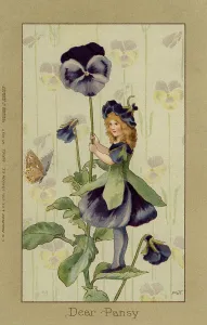 Faulkner: Pansy fairy