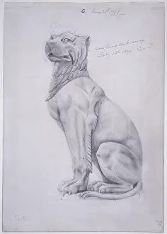 Felid: Panther design