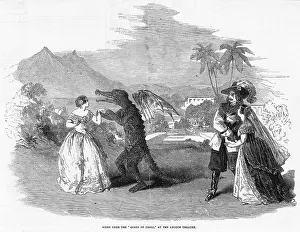 Lyceum: PANTOMIME/QUEEN OF FROGS