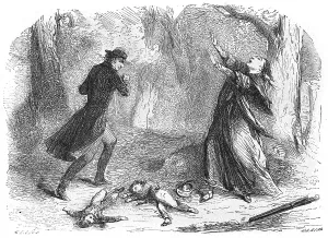 Apparent: PAPAVOINE MURDERS