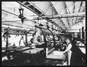 PAPER FACTORY APPRENTICE