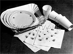 Napkins: PAPER PICNIC SET