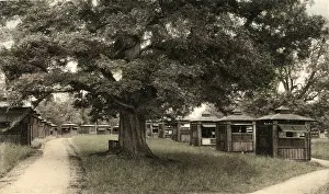 Tuberculosis: Papworth Colony - Open Air Chalets