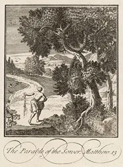 Parables: PARABLE OF THE SOWER