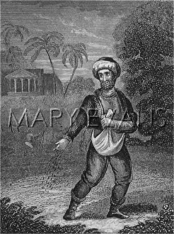 Sower: PARABLE OF THE SOWER