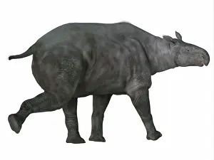 Eocene: Paraceratherium mammal, side profile