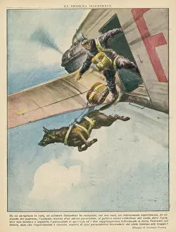 Leaps: PARACHUTE