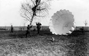Parachutist: Parachutist in a tree, 1918