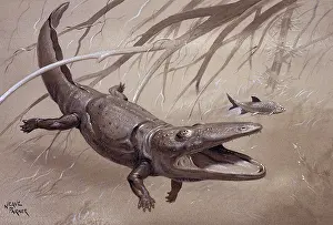 Neave: Paracyclotosaurus