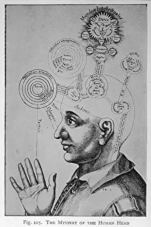 Phrenology: Paranormal: phrenology