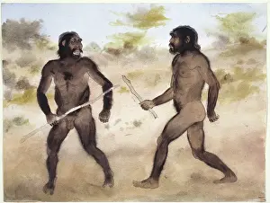 Robust: Paranthropus sp. (left) and Homo erectus (right)
