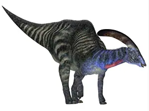 Ugliness: Parasaurolophus dinosaur