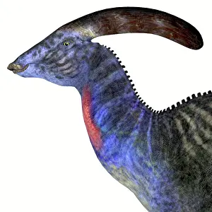Ugliness: Parasaurolophus dinosaur head