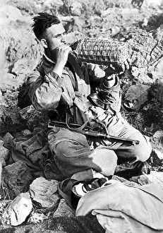 Paratrooper: Paratrooper in a mountain position on Crete, 1941