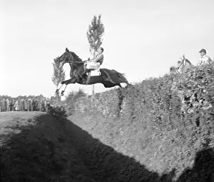 Pardubice: Pardubice horse race