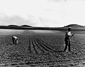 Arable: Paris in the 1930th