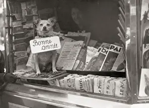 Bonne: Paris dog with board