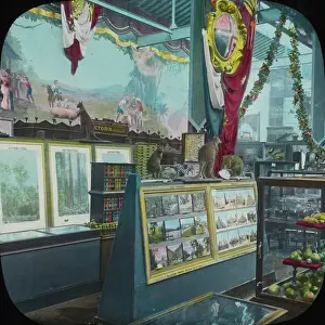 Marsupials: Paris Exhibition 1900 - Australia Pavilion