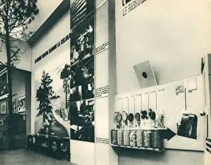 Cellulose: Paris Expo 1937, Development Of Cellulose