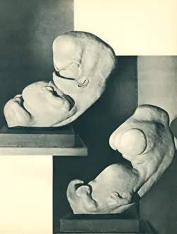 Embryo: Paris Expo 1937, Embryo Models