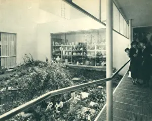 Baranger: Paris Expo 1937, Pavilion Of Austria