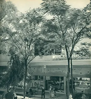 Laure: Paris Expo 1937, Pavilion Of Uruguay