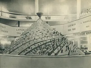 Decouverte: Paris Expo 1937, The Spiral Of Evolution