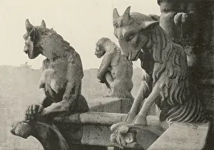 Gargoyles: Paris Notre Dame