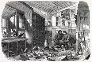 Loft: PARIS PIGEON POST - IN