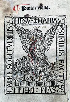 Viana: Paris and Viana.15th century