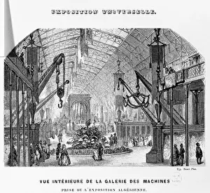Algerian: Paris World Fair 1855